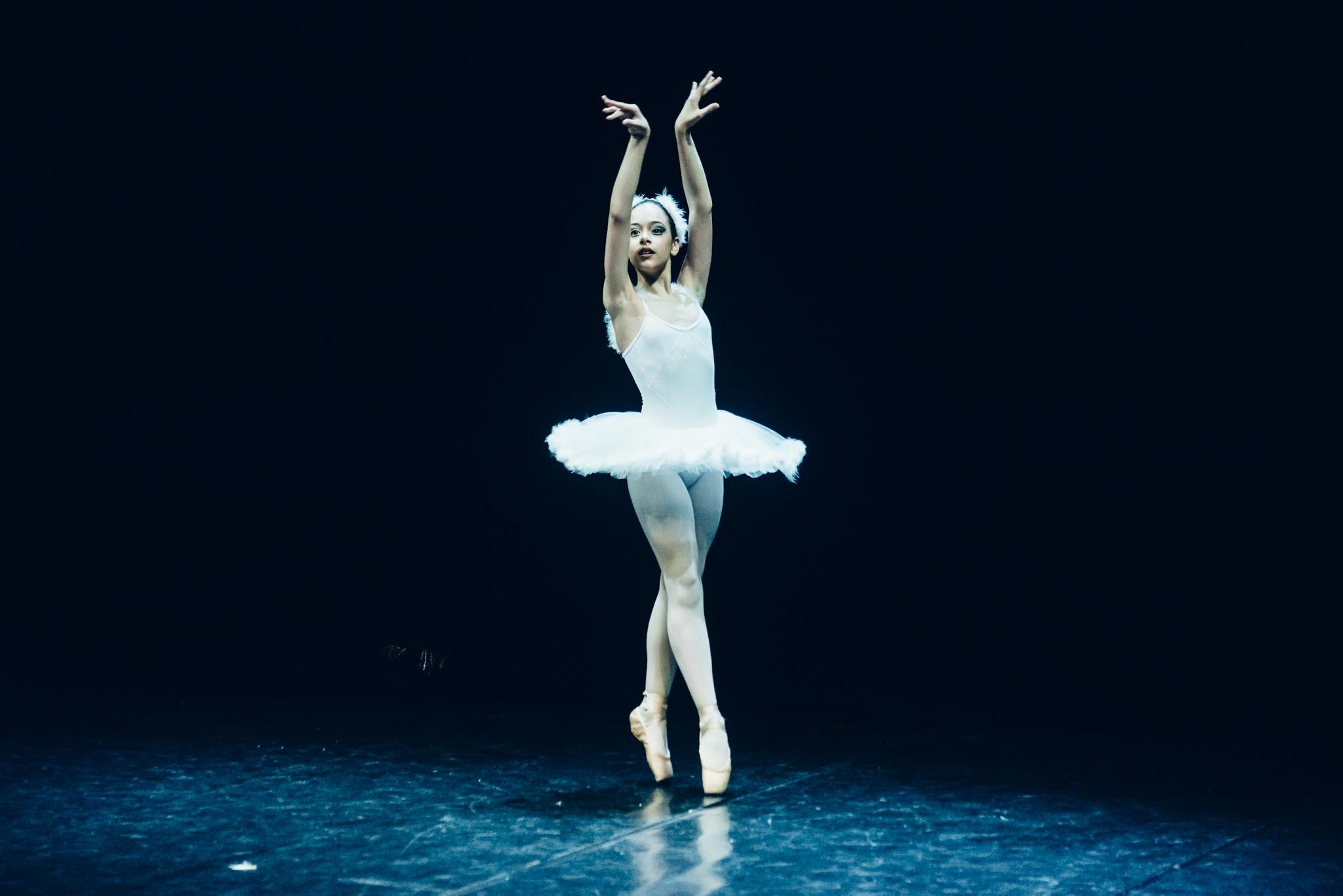 valentina cigno bianco 2018