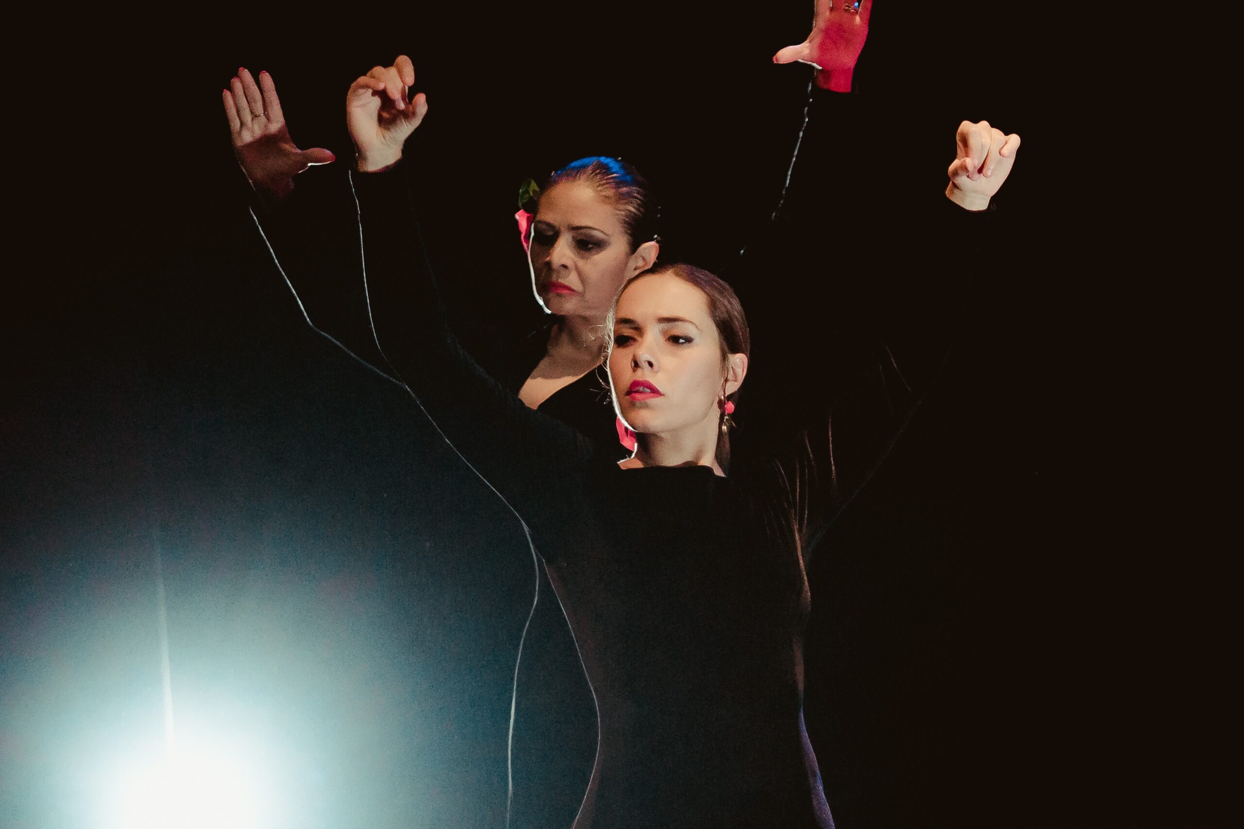 flamenco vega